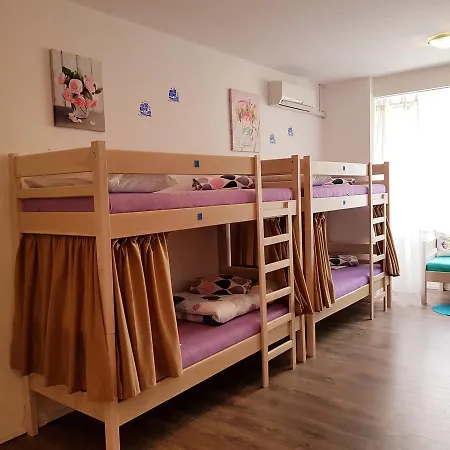Hostel Crazy House *