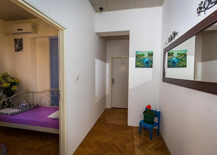 Hostel Sol Garden - With A Soul Póla